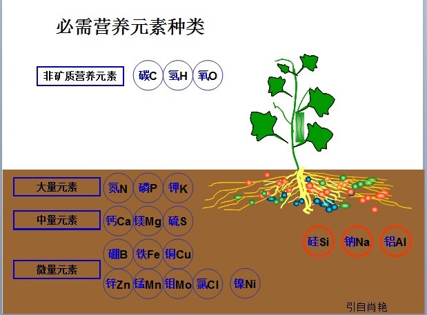 小品演員發(fā)型 小品演員換新式發(fā)型當“嘀嘀司機”