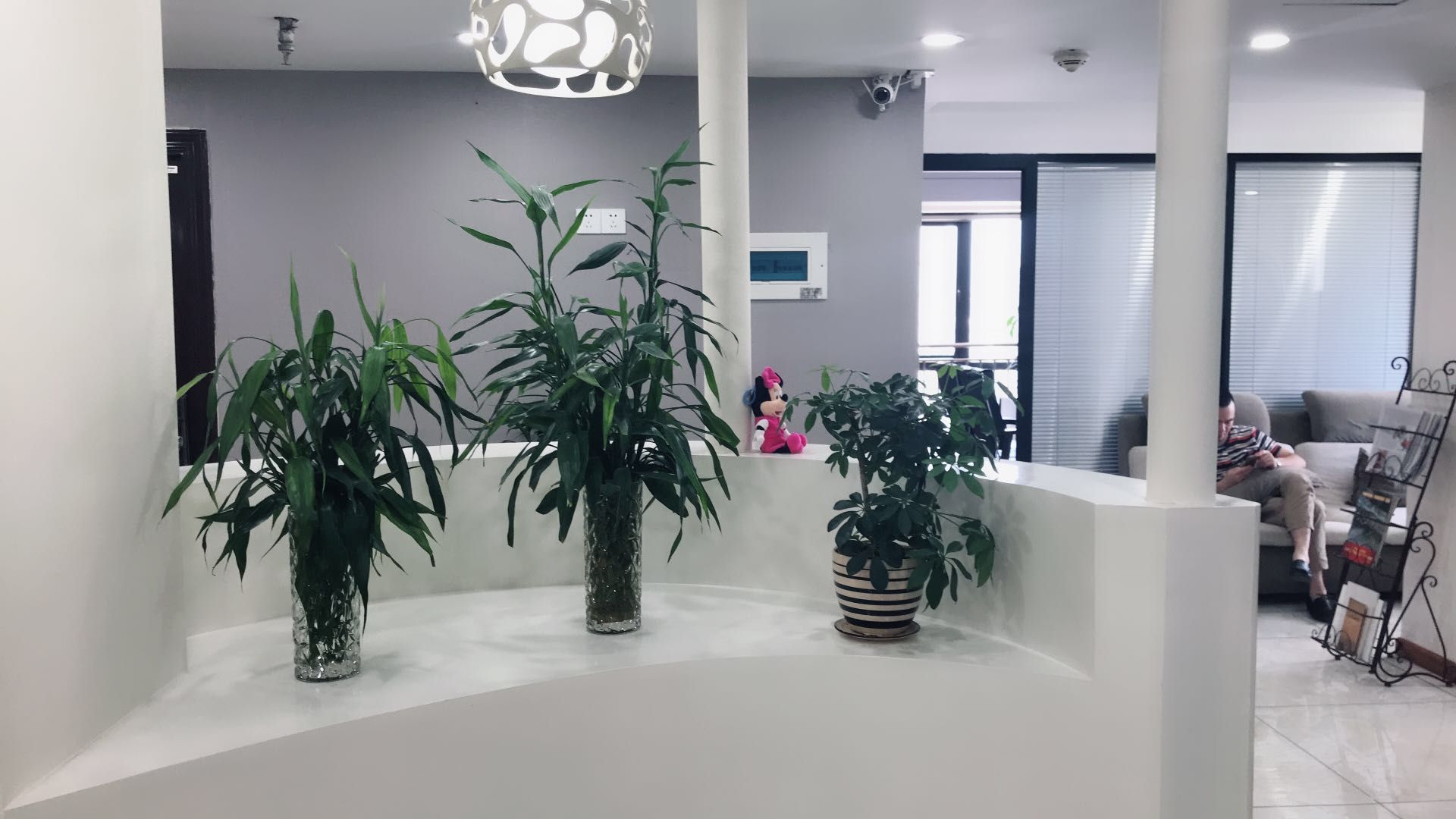 高大上！唐風(fēng)采福州店裝修升級(jí)換新容，歡迎新老客戶惠顧~