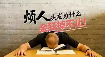 最近很少晚睡，脫起發(fā)來卻沒商量！