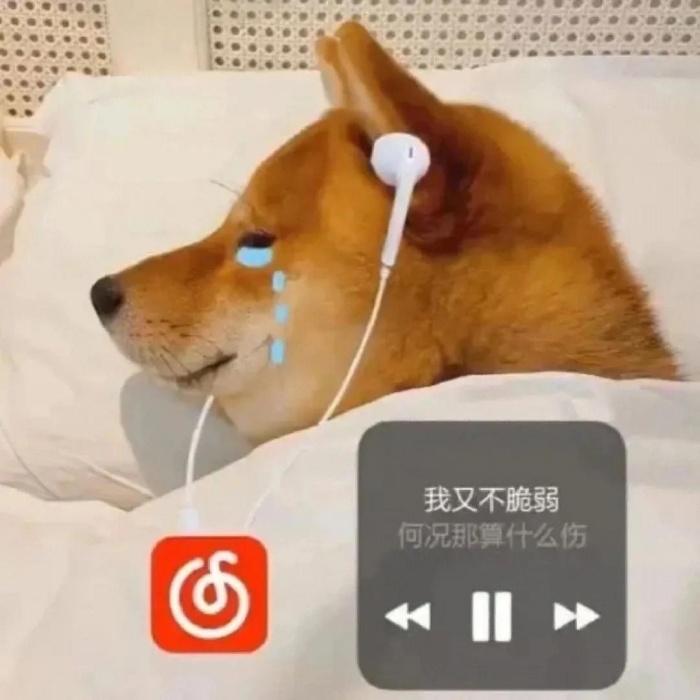王婆說媒 \